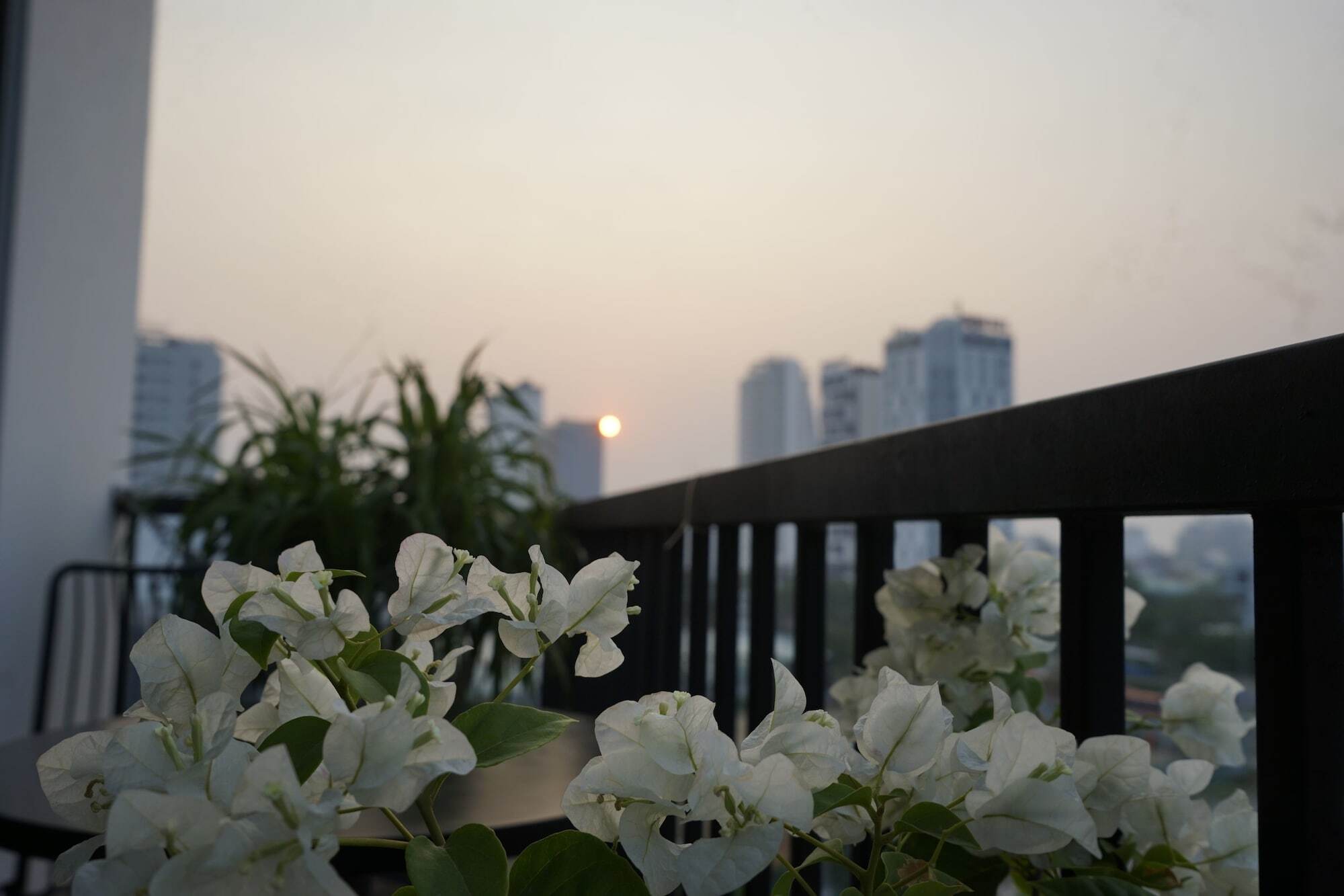 Oasis Hotel & Apartment Da Nang Exterior foto